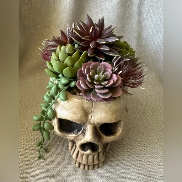 Halloween Succulent Skull Spooky Planter - Picture 3 of 8
